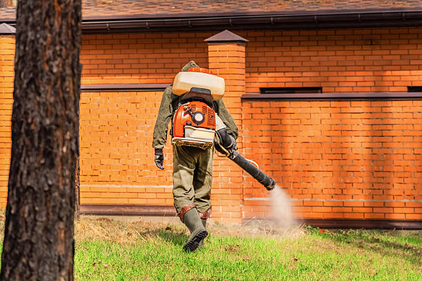 Trusted Bed Bug Control service in Nazareth, PA - Nex Pest Control